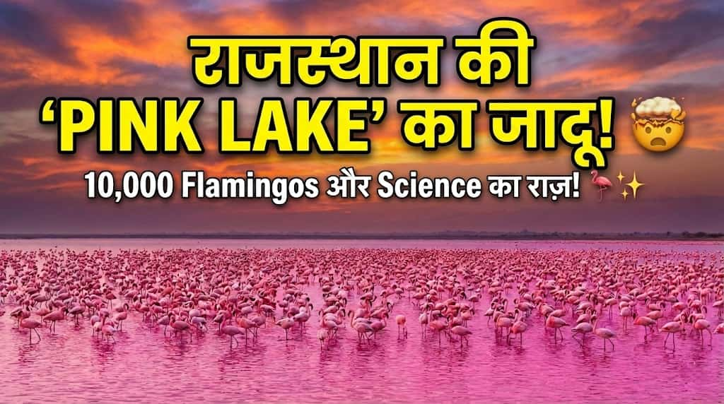 Sambhar Lake