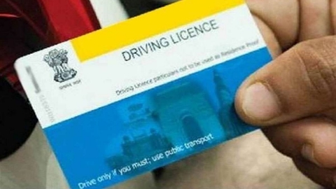 परिवहन विभाग