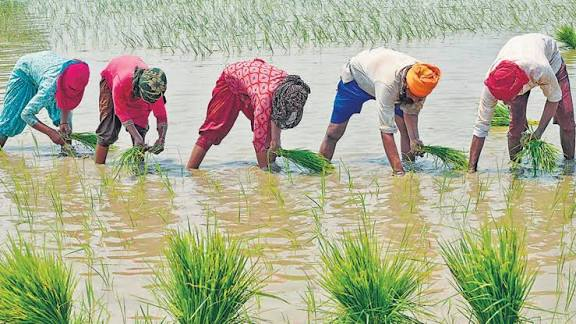 प्रधानमंत्री धन-धान्य कृषि योजना: किसानों के लिए धन-धान्य की बंपर सौगात, लाभ व योग्यता की पूरी जानकारी