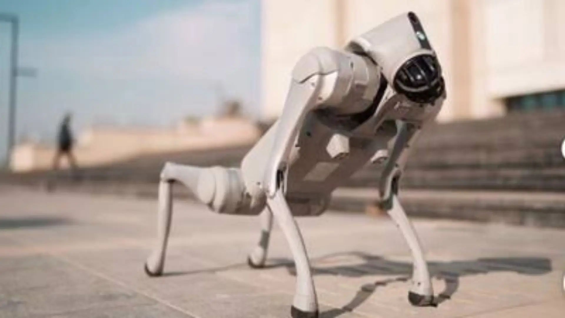 UnitreeGo 2 UnitreeGo 2