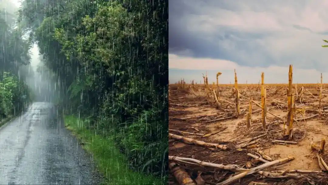 Bin Mausam Barish Reason