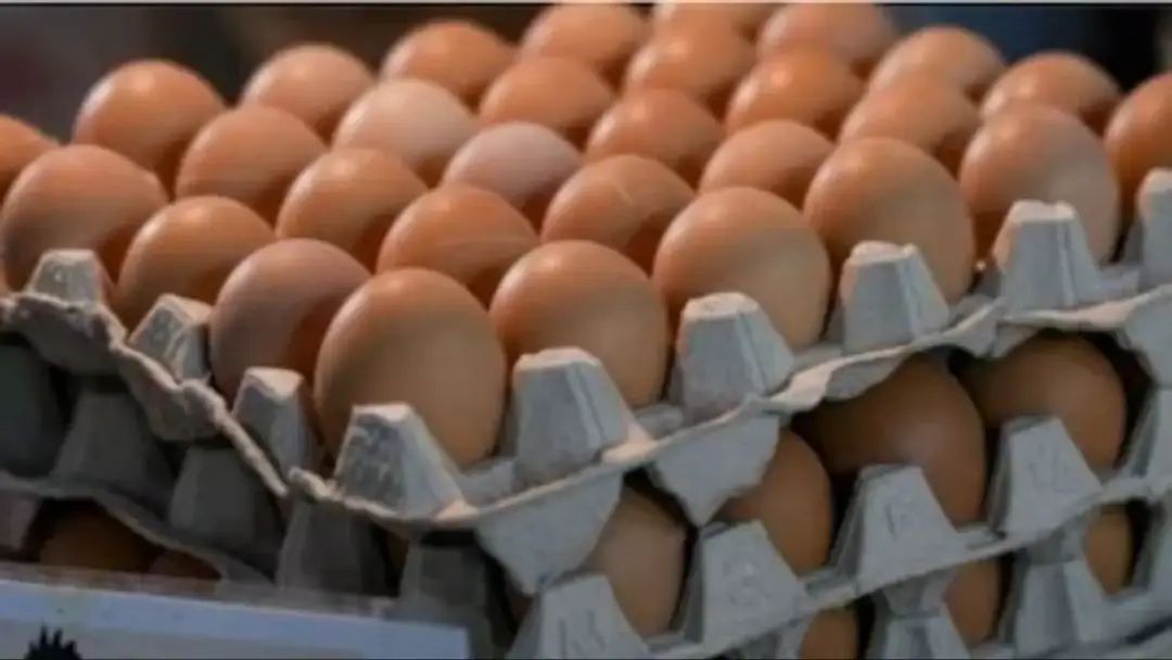 Eggs - UP Egg Expiry Date Rule