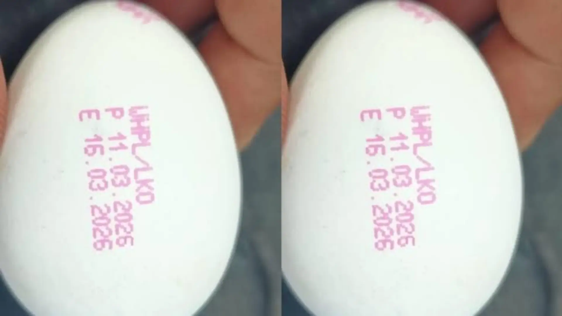 UP Egg Expiry Date Rule