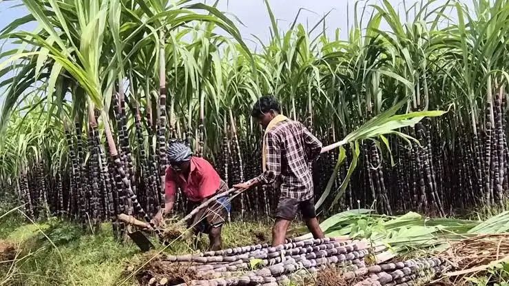 बिहार बिहार