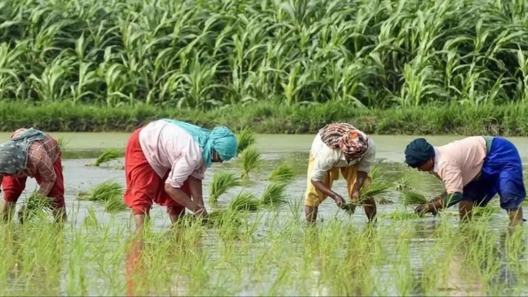 PM Mudra Loan 20 Lakh Update PM Mudra Loan 20 Lakh Update