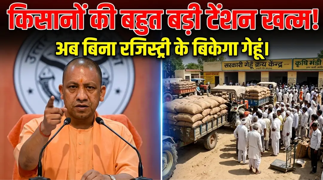 UP Gehun Kharid 2026: सीएम योगी का बड़ा फैसला! अब बिना ‘रजिस्ट्री’ के भी सरकारी केंद्रों पर बिकेगा गेहूं, जानिए नए नियम
