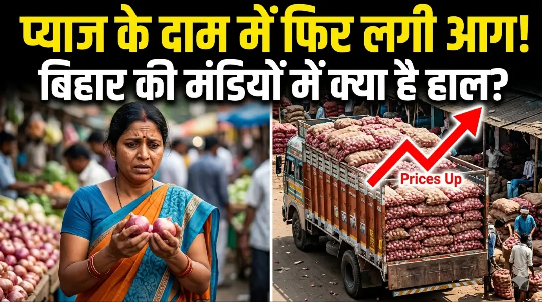 Onion Price Hike 2026: क्या फिर से आंसू निकालेगा प्याज? नासिक से बिहार तक की ग्राउंड रिपोर्ट और कीमतों में उछाल के बड़े कारण