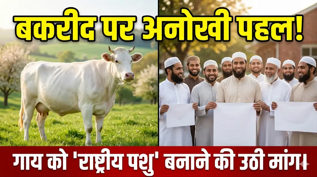 Cow As National Animal