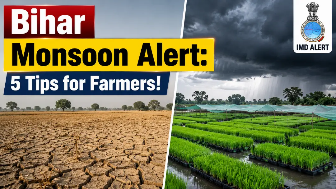 Bihar Monsoon Rain Alert 2026: मौसम की अजीब चाल और किसानों के लिए 5 अचूक उपाय!